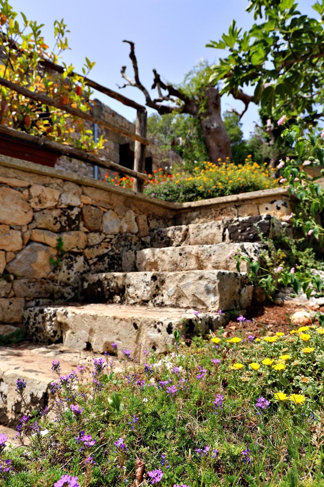 Residencefusaro Pajare ספקיה מראה חיצוני תמונה